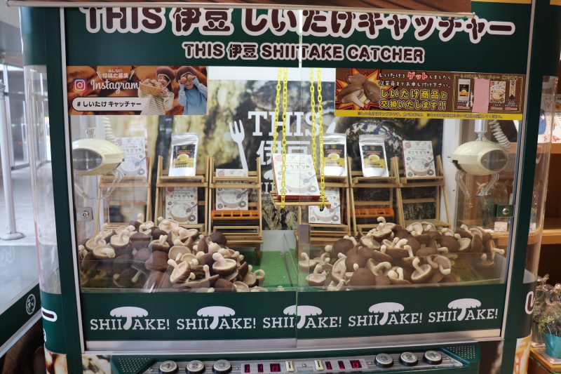 道の駅 伊豆のへそのしいたけキャッチャー