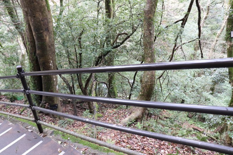 浄蓮の滝への道中