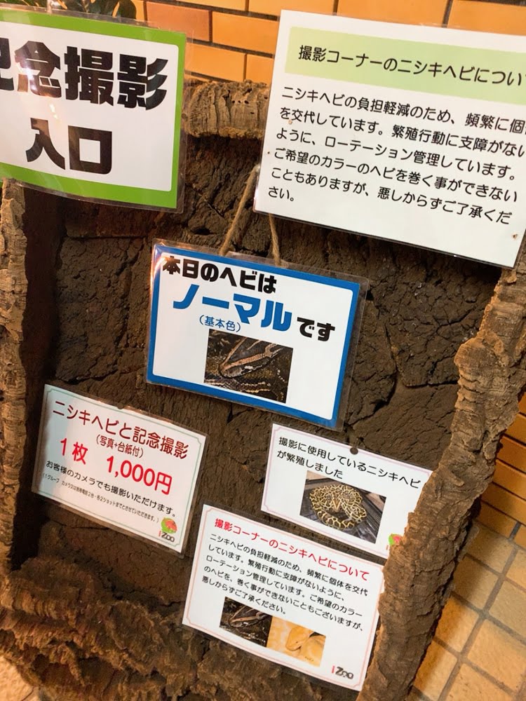 動物園 iZooの記念撮影