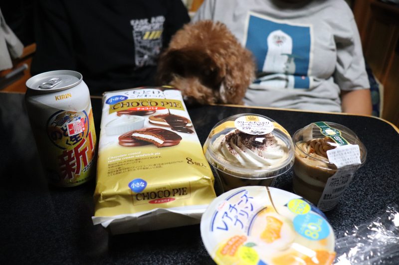 道の駅パスカル清見での車内デザート