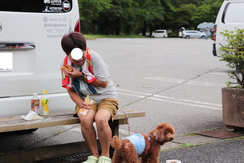 道の駅パスカル清見で蜂