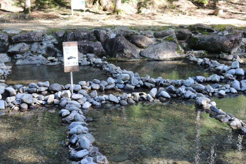 道の駅 清流白川クオーレの里。キャンプ場