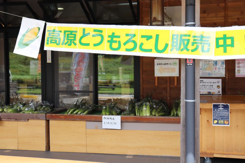 道の駅 南信州うるぎのとうもろこし販売