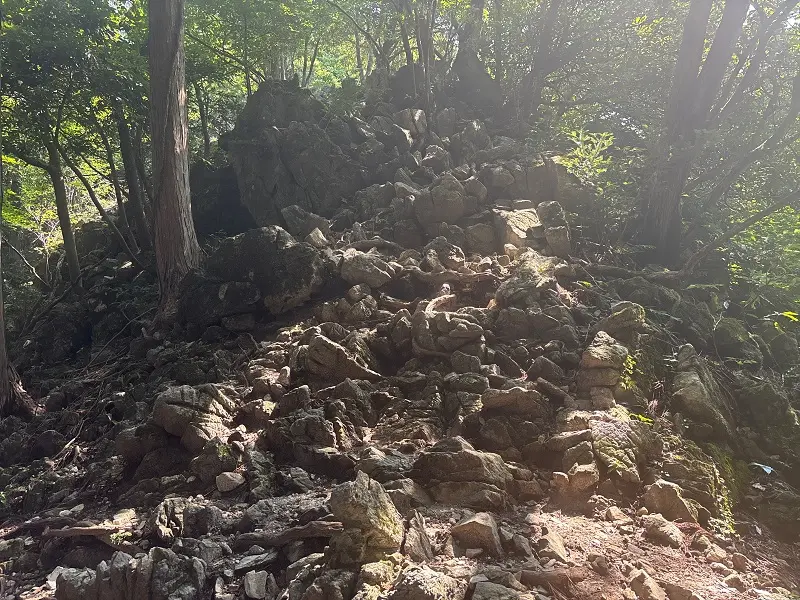 竜が岳登山道