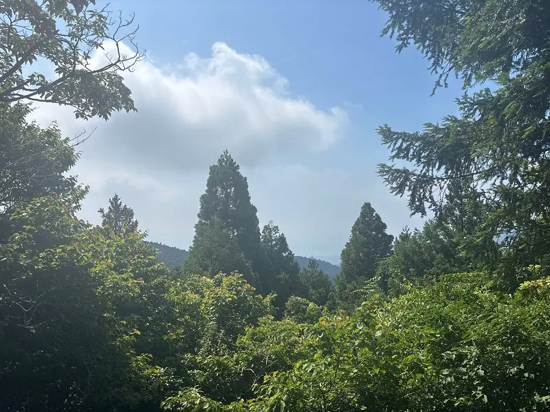 竜が岳登山道