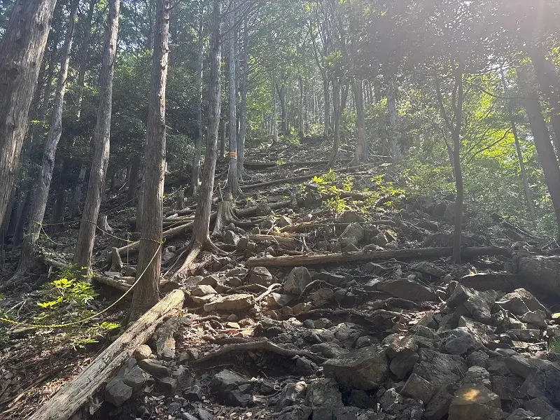 竜が岳登山道