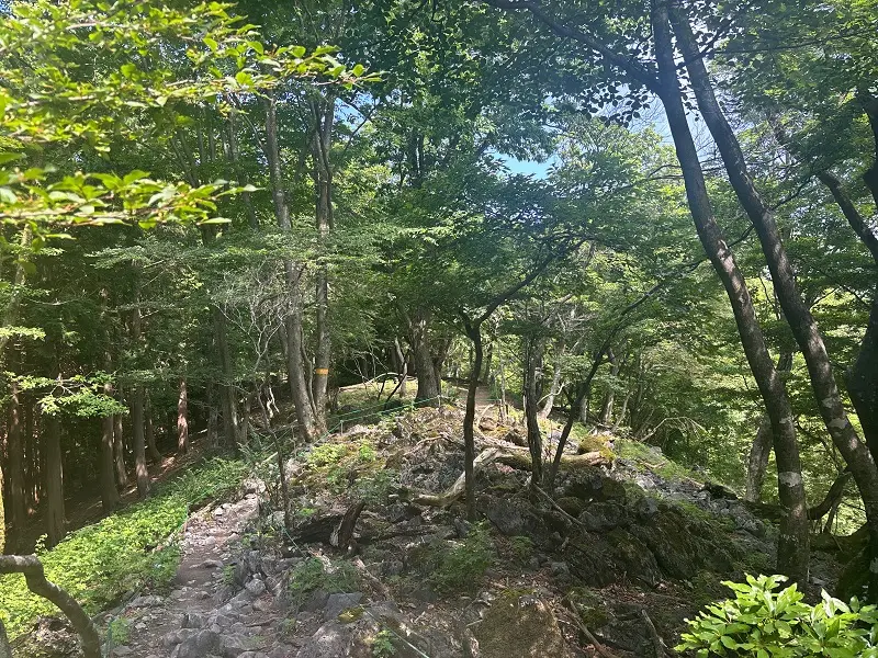 竜が岳登山道