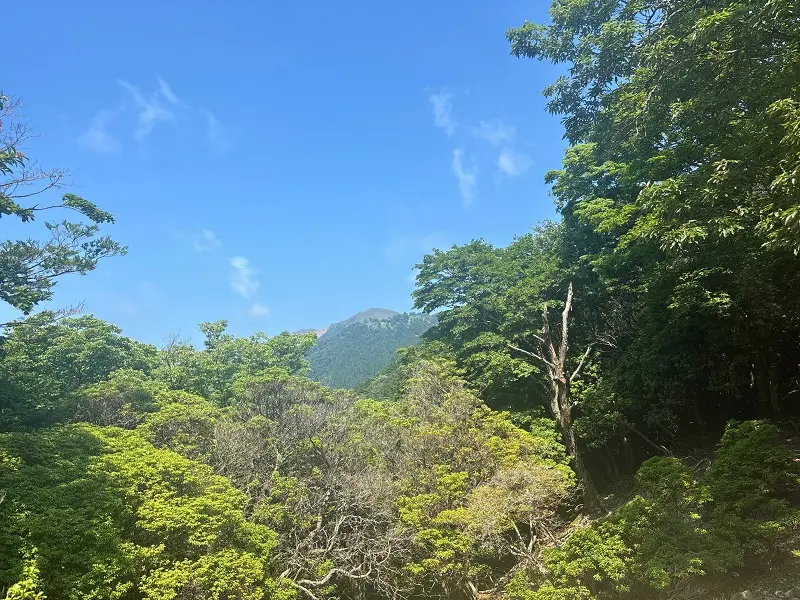竜が岳登山道
