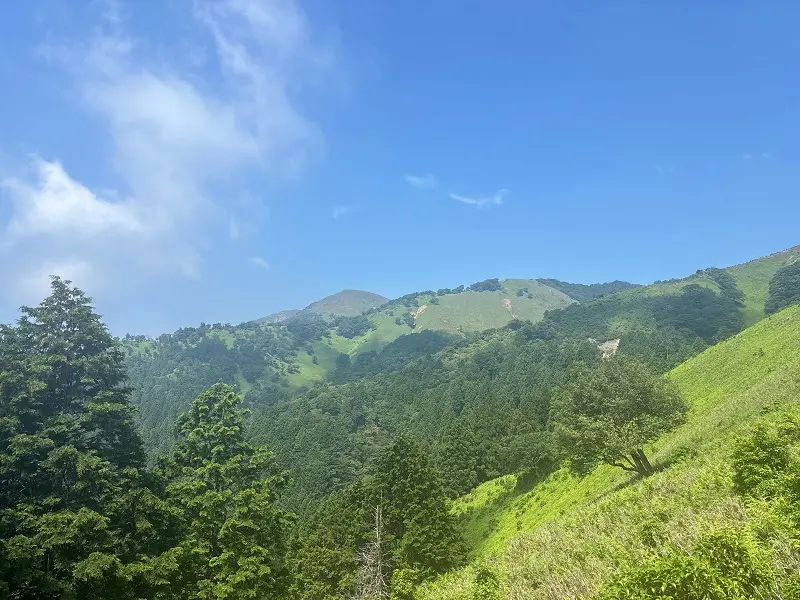 竜が岳登山道