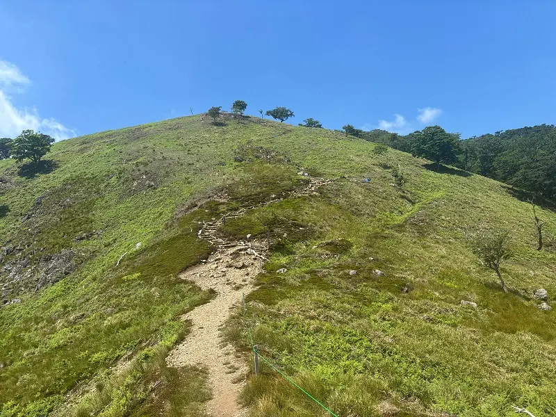 竜が岳登山道