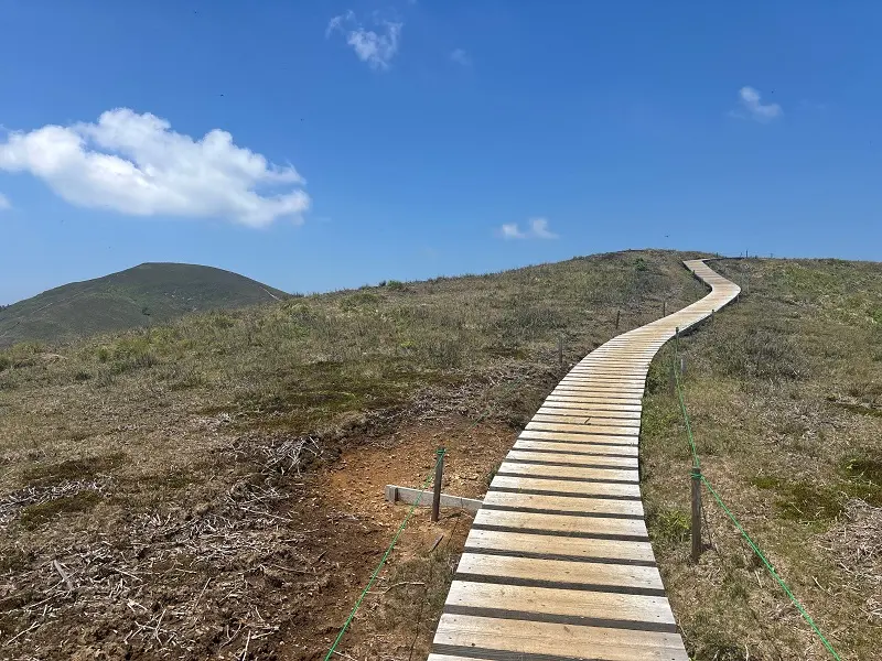 竜が岳登山道