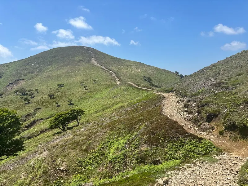 竜が岳登山道
