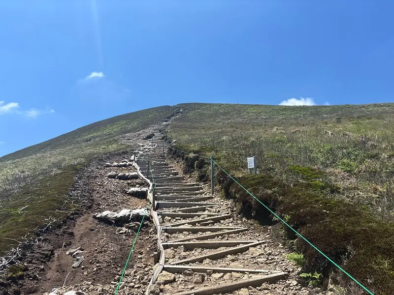 竜が岳登山道