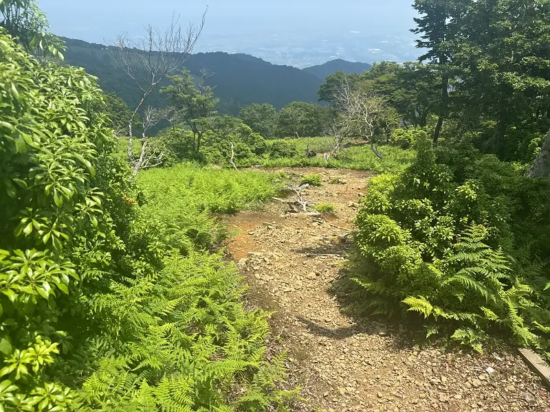 竜が岳登山道