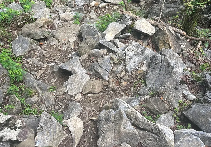 竜が岳登山道