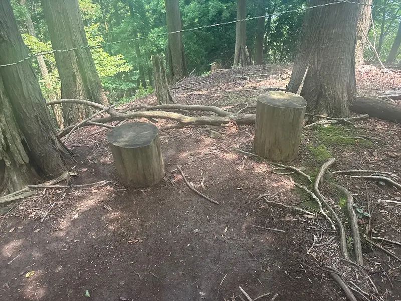 竜が岳登山道