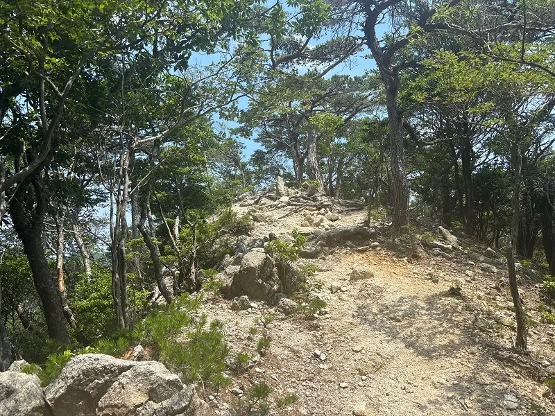 竜が岳登山道