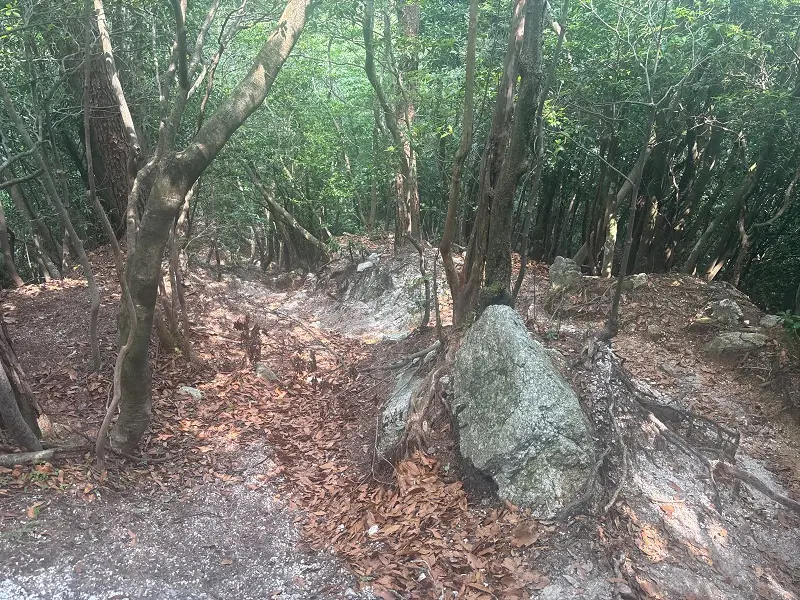 竜が岳登山道