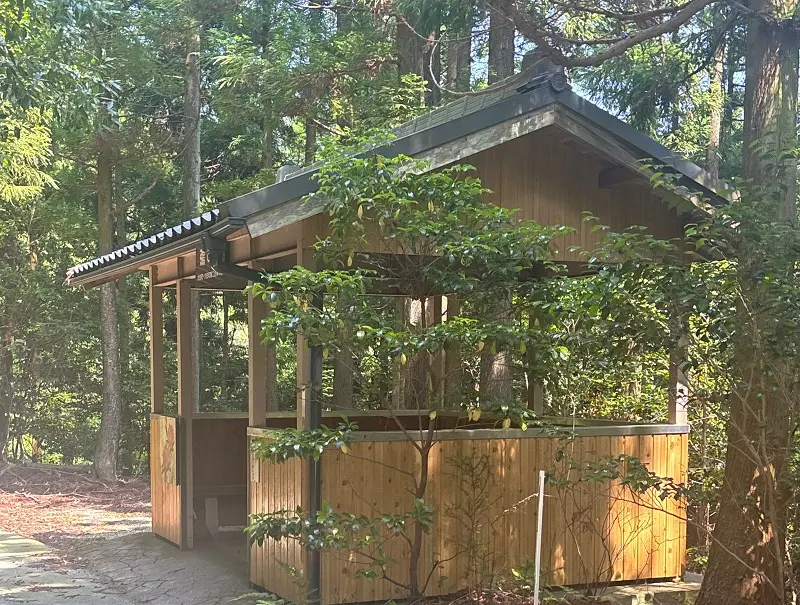 竜が岳登山道