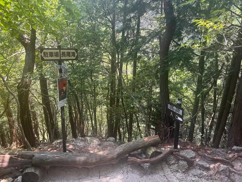 竜が岳登山道
