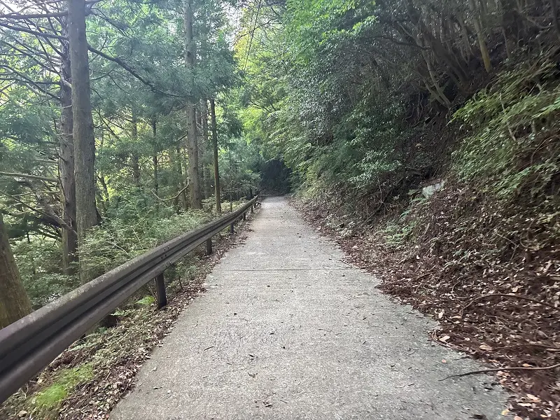 竜が岳登山道
