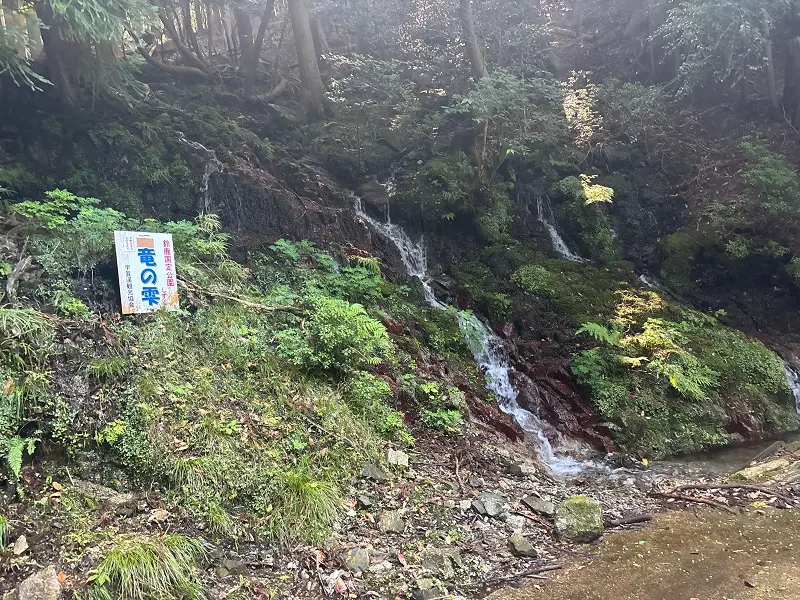 竜が岳登山道 竜の雫