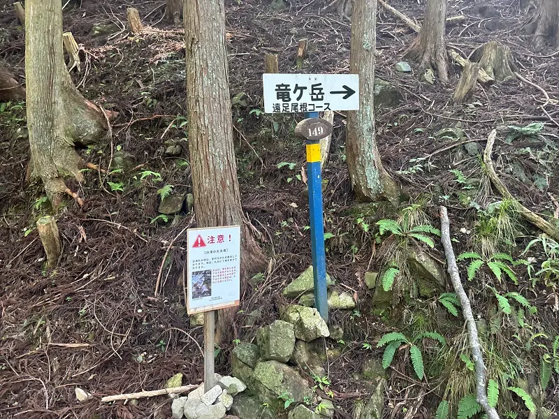 竜が岳登山口