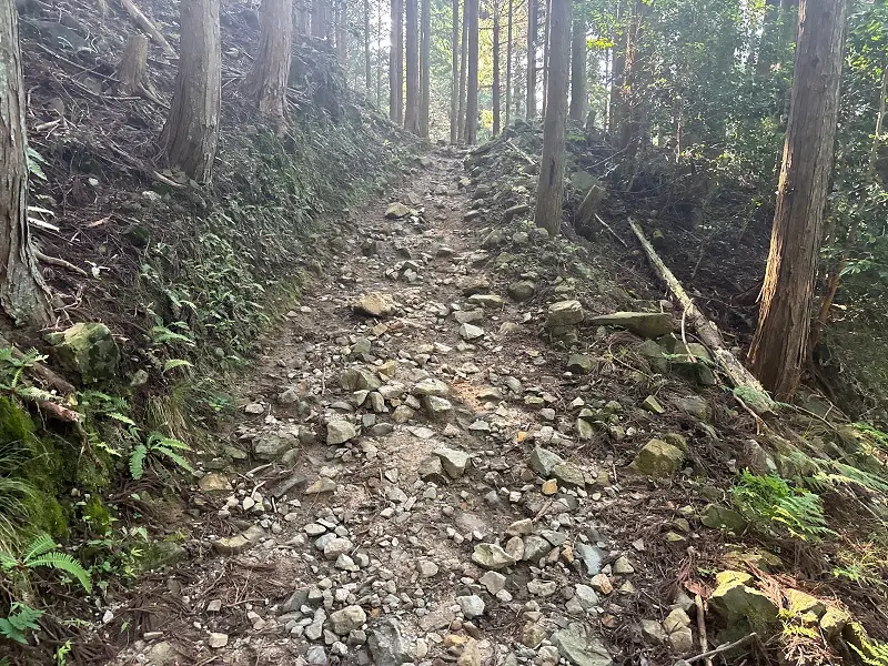 竜が岳登山道