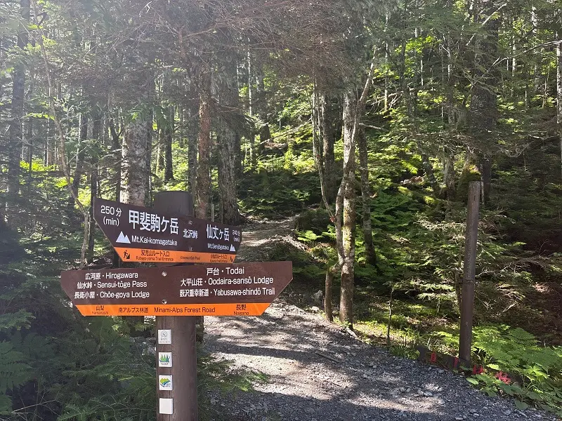 仙丈ヶ岳登山道