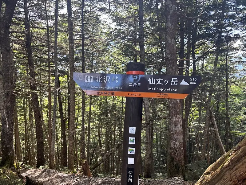 仙丈ヶ岳登山道