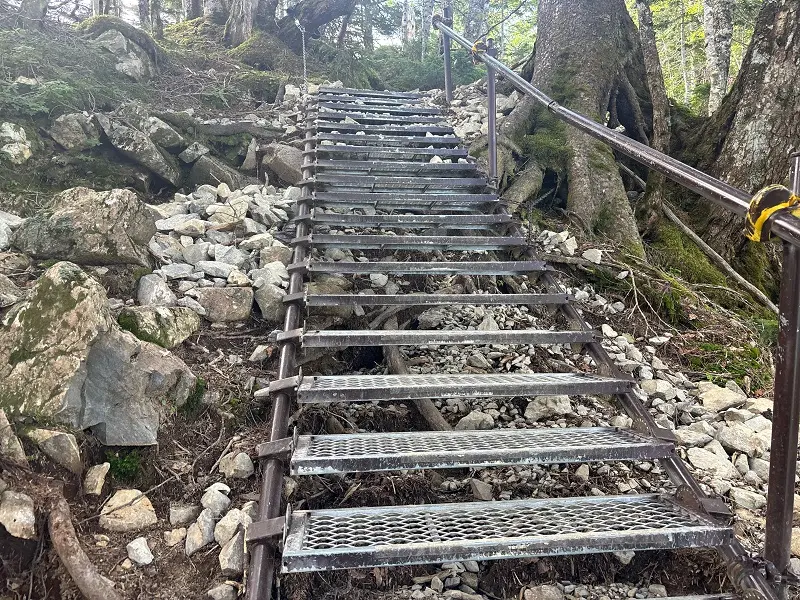 仙丈ヶ岳登山道