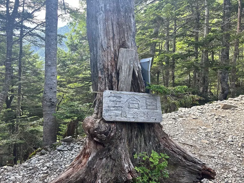 仙丈ヶ岳登山道
