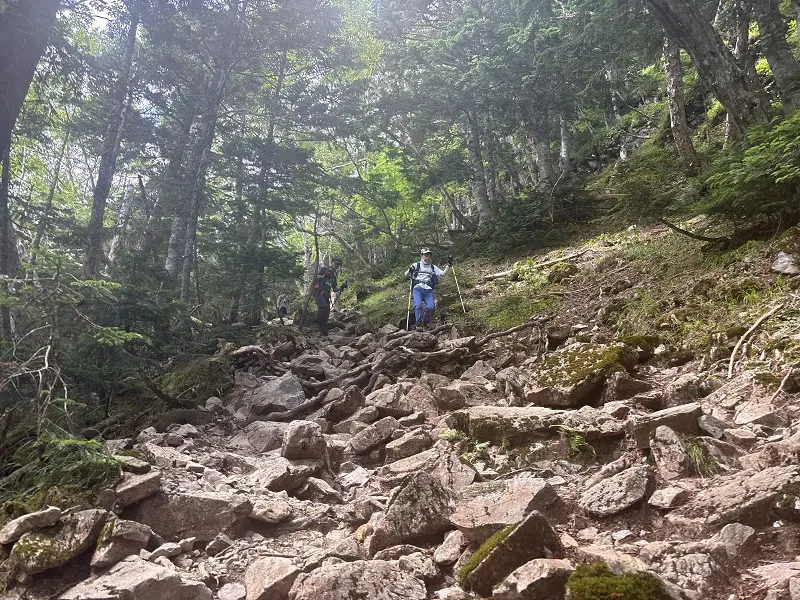 仙丈ヶ岳登山道
