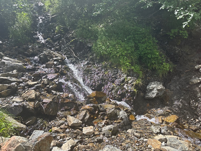 仙丈ヶ岳登山道のさわ