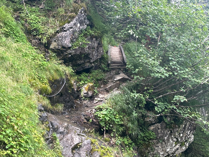 仙丈ヶ岳登山道
