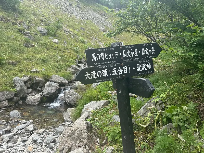 仙丈ヶ岳登山道