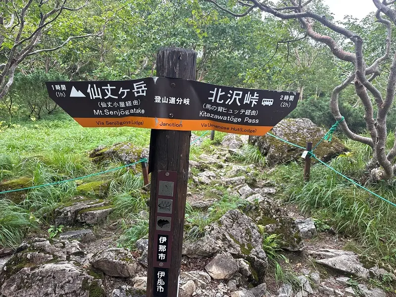 仙丈ヶ岳登山道