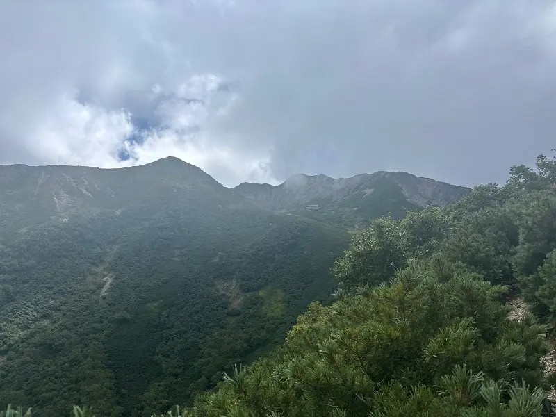 仙丈ヶ岳登山道