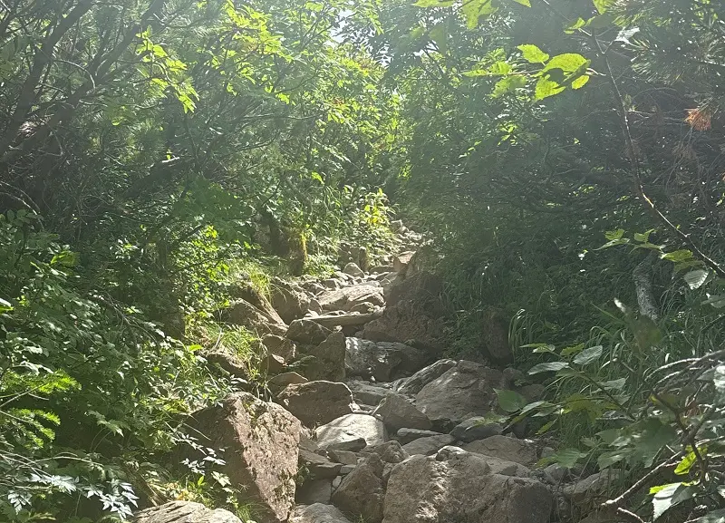 仙丈ヶ岳登山道