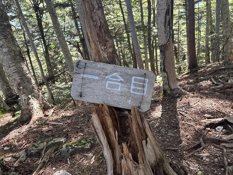仙丈ヶ岳登山道