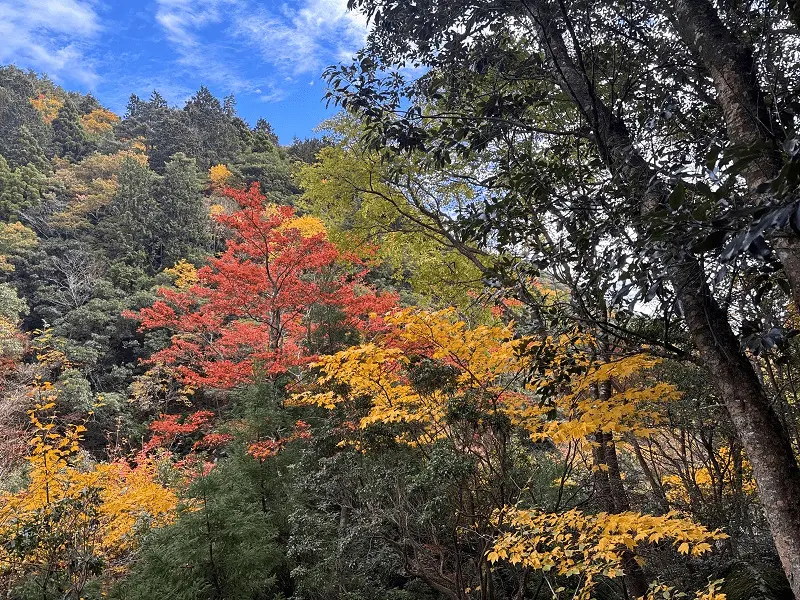 御在所岳　裏登山道