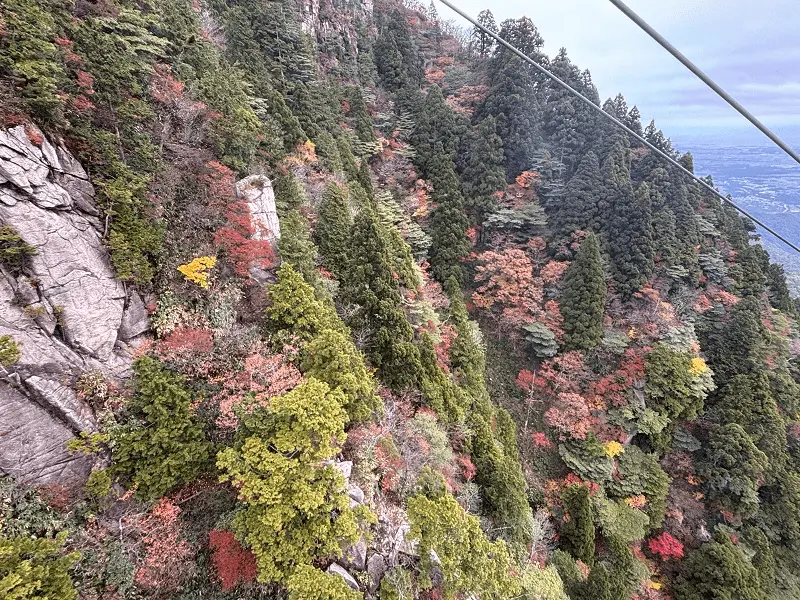御在所ロープーウェイからの紅葉