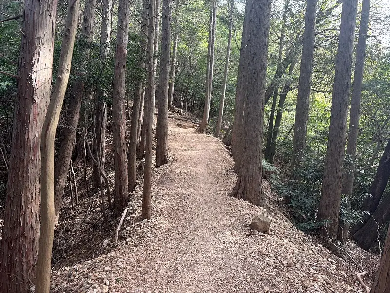 多度山　健脚コース