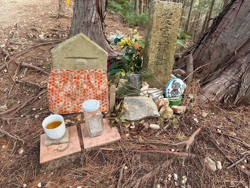 多度山　健脚コース