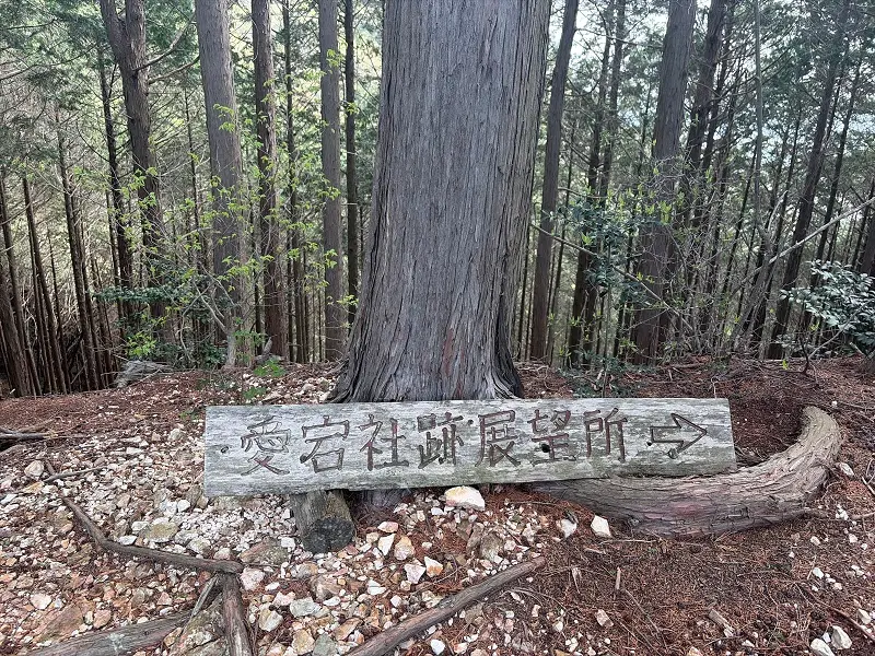 多度山　健脚コース