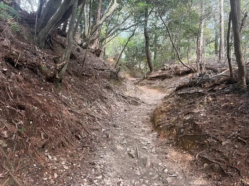 多度山　健脚コース