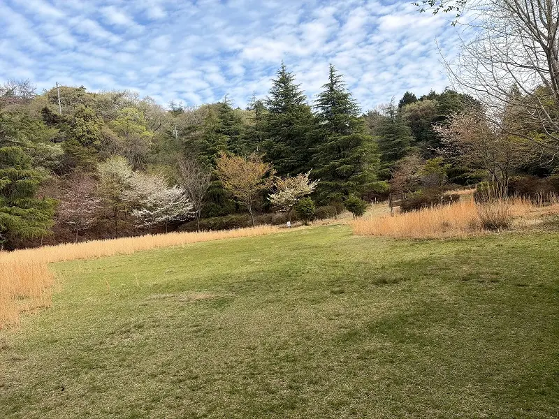 多度山山上公園ヤング広場