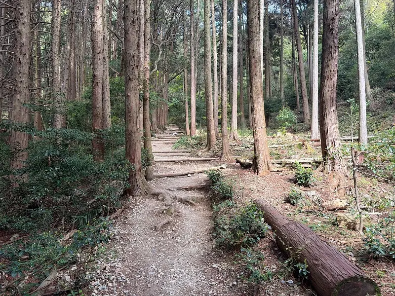 多度山　健脚コース