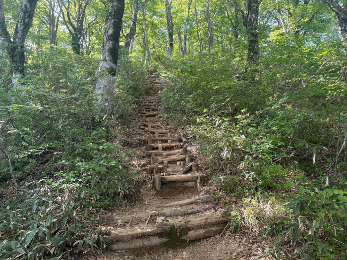 荒島岳 勝原登山道