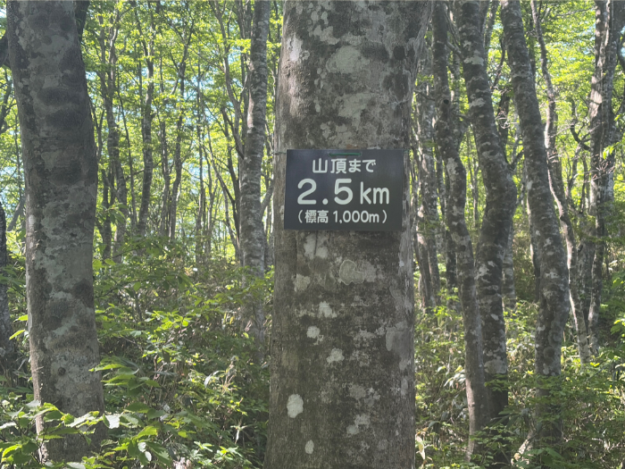 荒島岳 勝原登山道